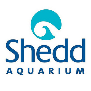 Shedd Aquarium